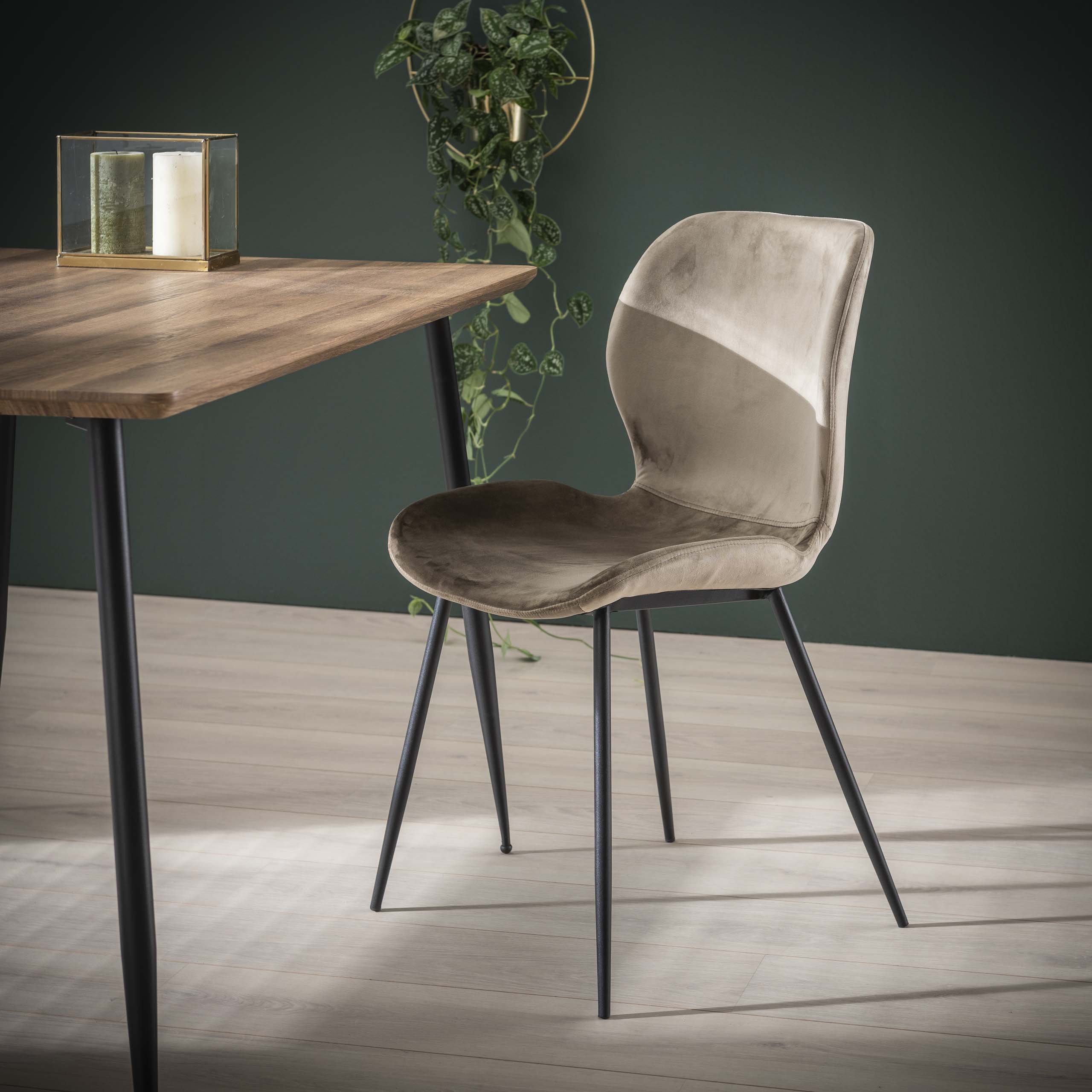 Chair round tube. VPE4 / Champagne velvet