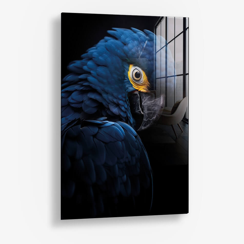 Blue Macaw – Vetro