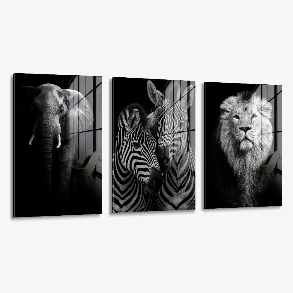Bundle: "Safari" (3x) – Glass