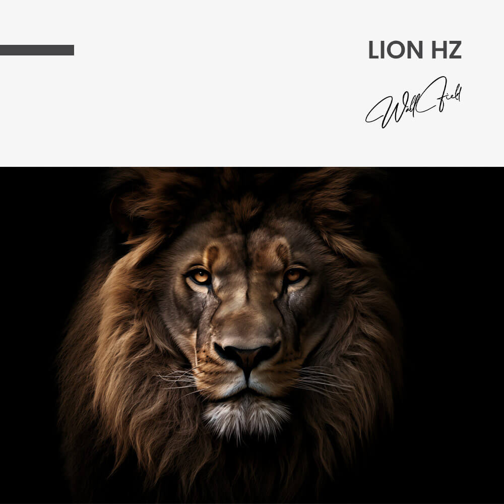 "Lion HZ"