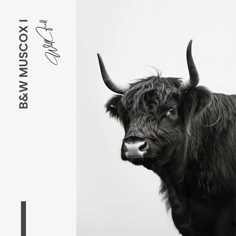 Bundle: "B&W Muscox" (2x)