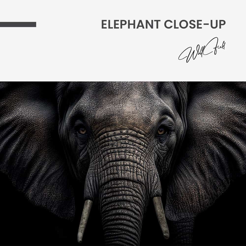 Elephant Close-Up – Glass
