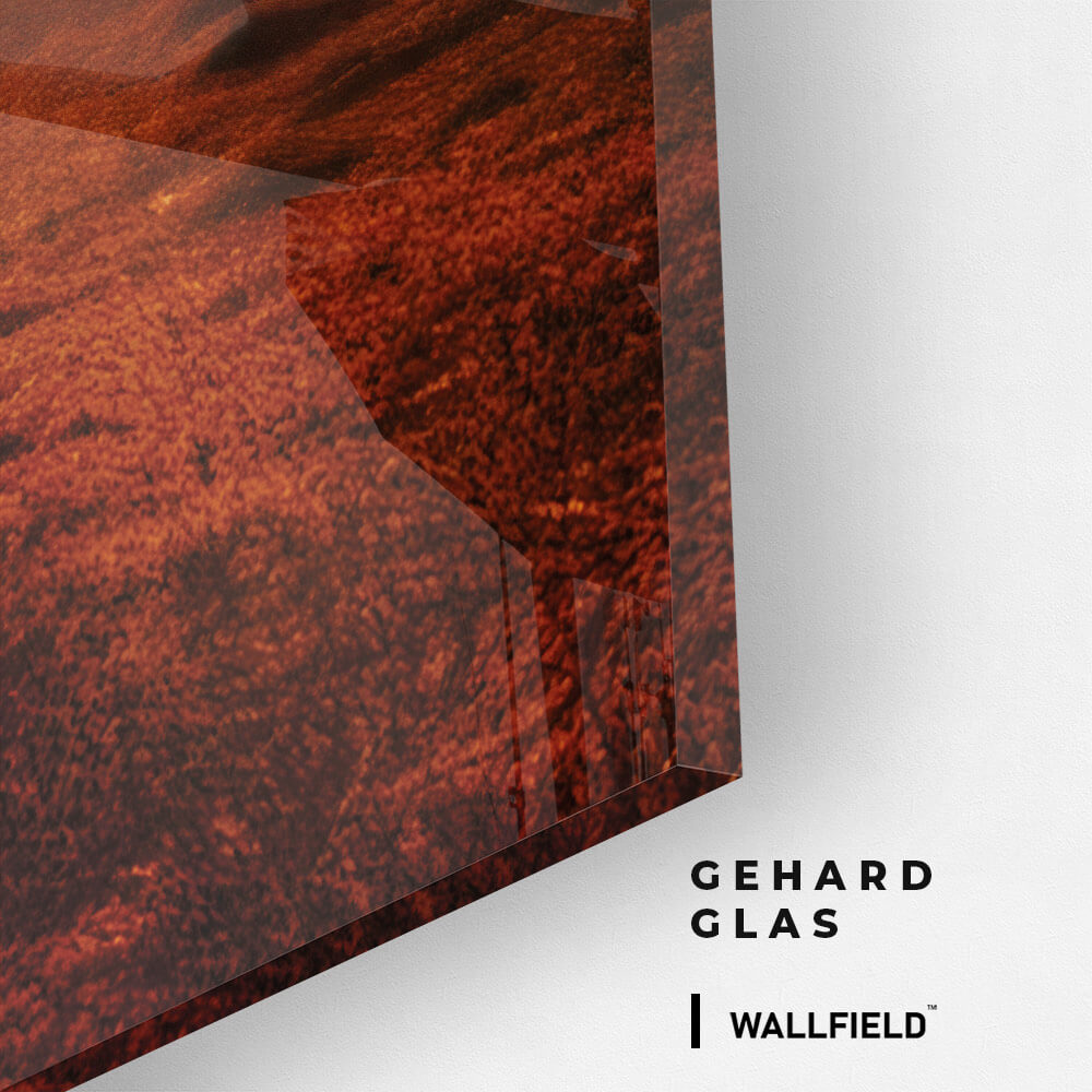 Elephant On The Road - Vetro