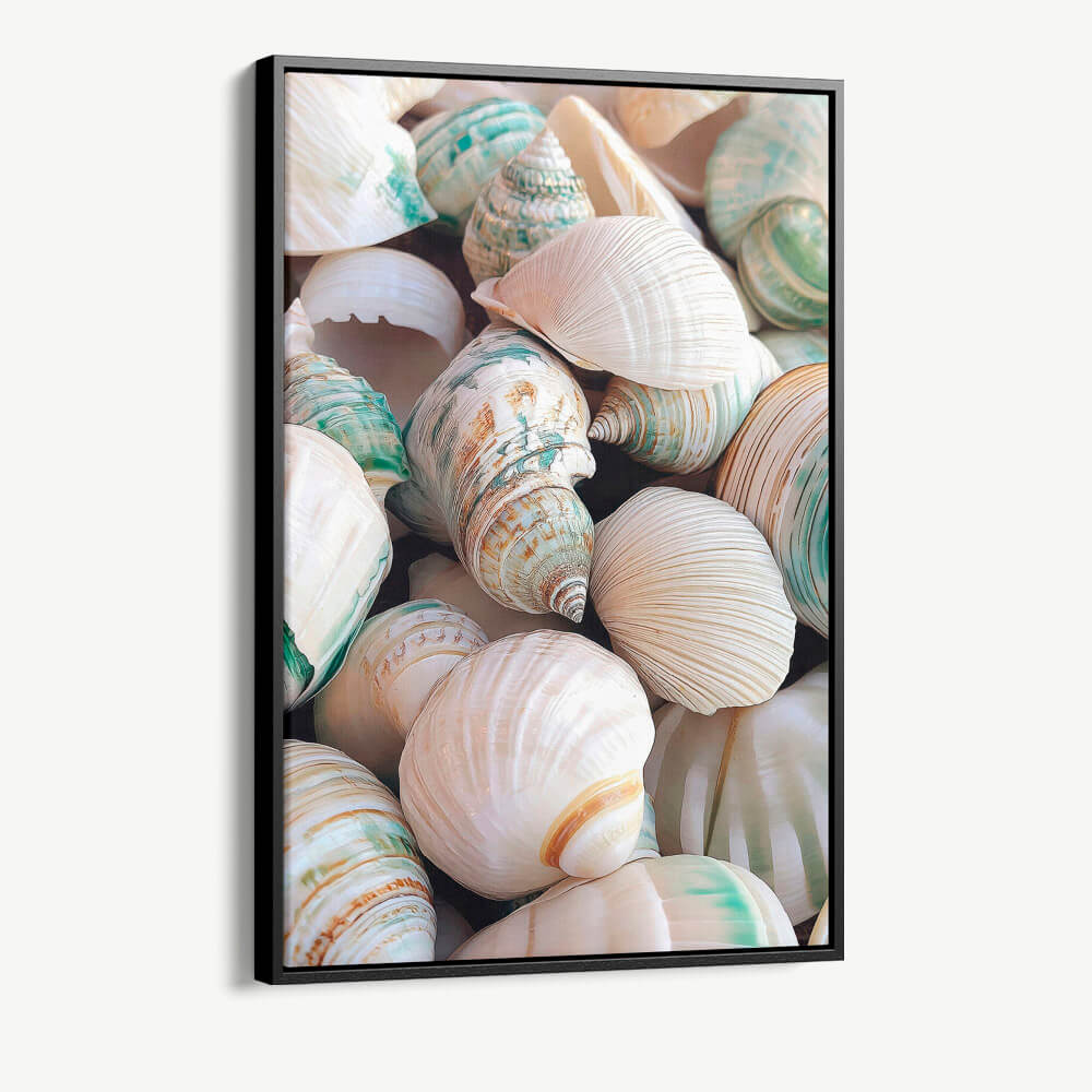 "Sea Shell"