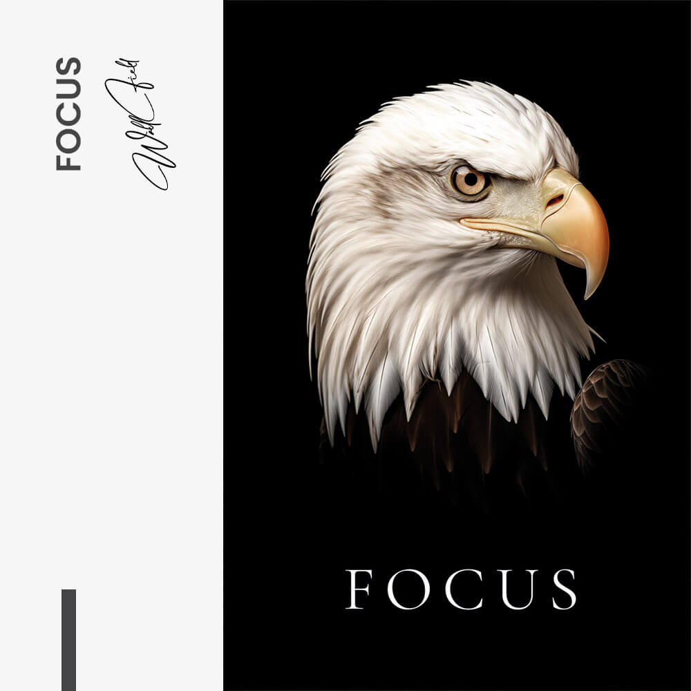 Focus – Vetro