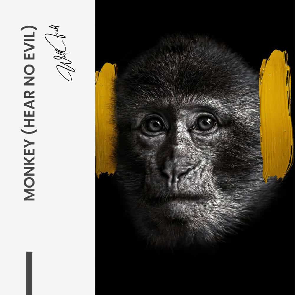 Bundle: “3 Wise Monkeys” (3x) - Glass