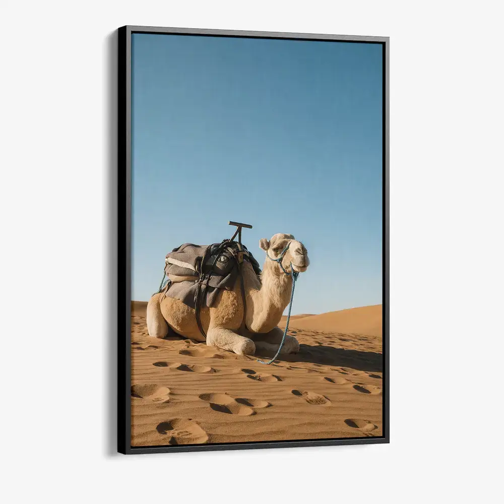 "Nomadland"
