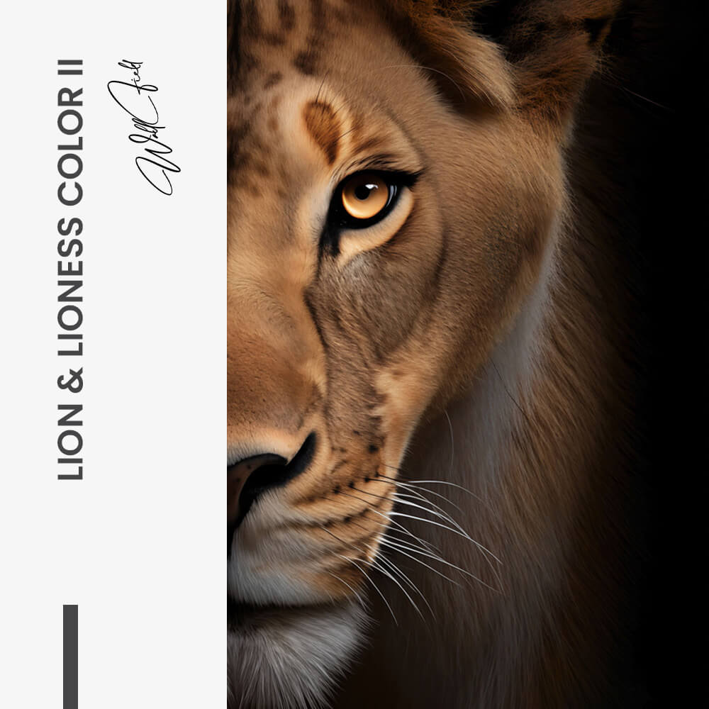 Bundle: "Lion & Lioness Color II" (2x) – Glass