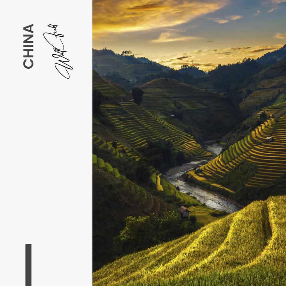 "China"