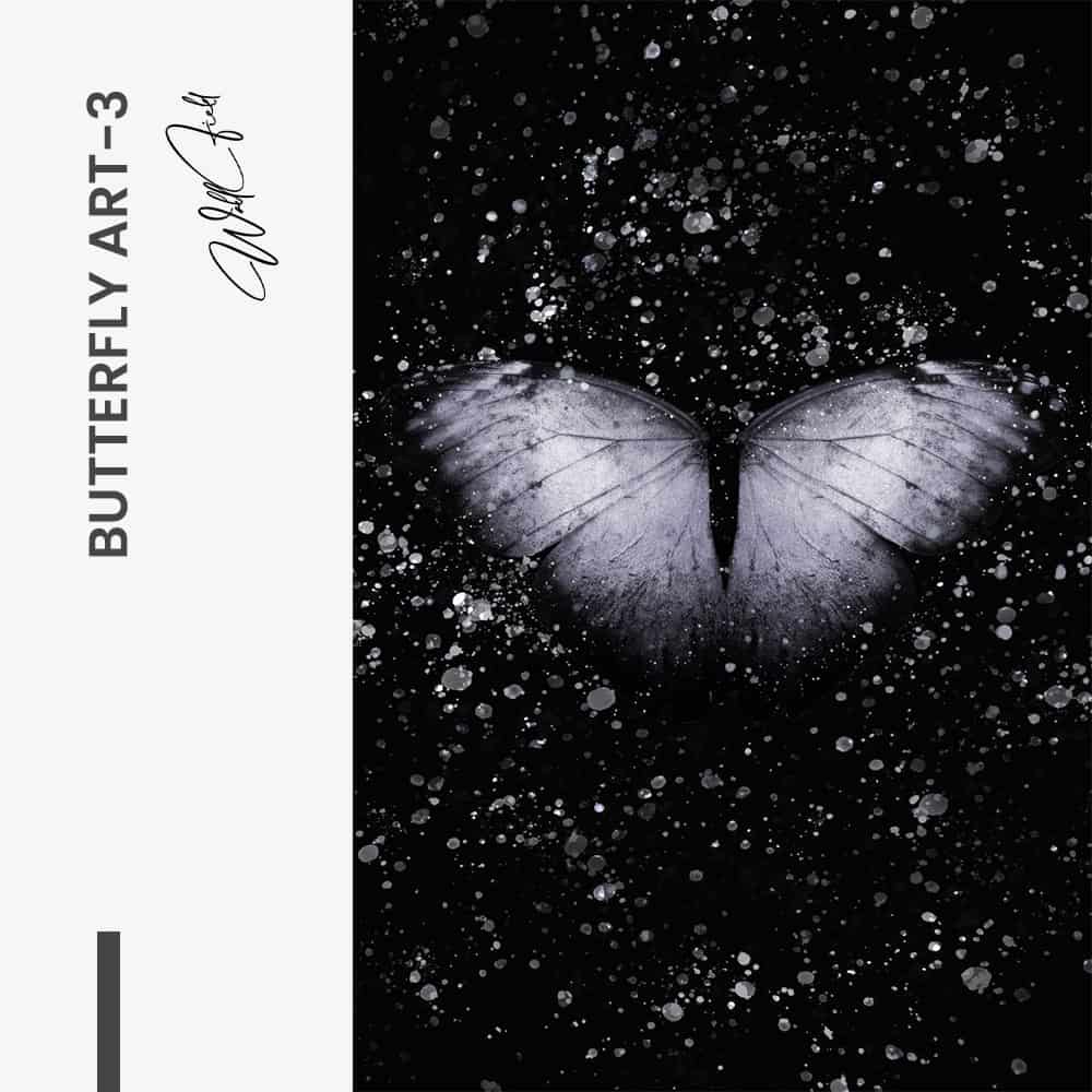 Butterfly Art I – Vetro