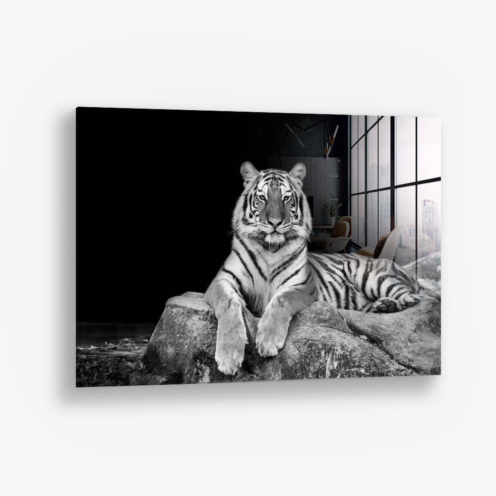 White Tiger – Vetro