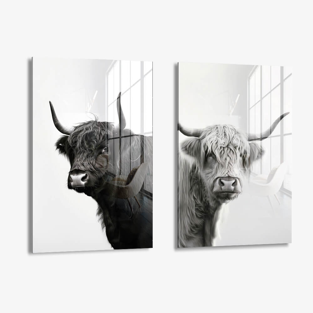 Bundle: "B&W Muscox" (2x) – Vetro