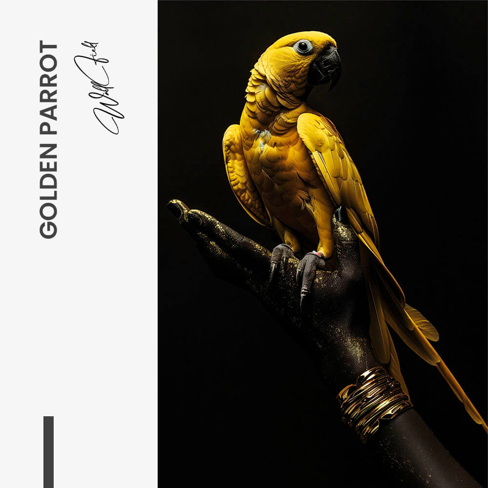 Golden Parrot – Vetro