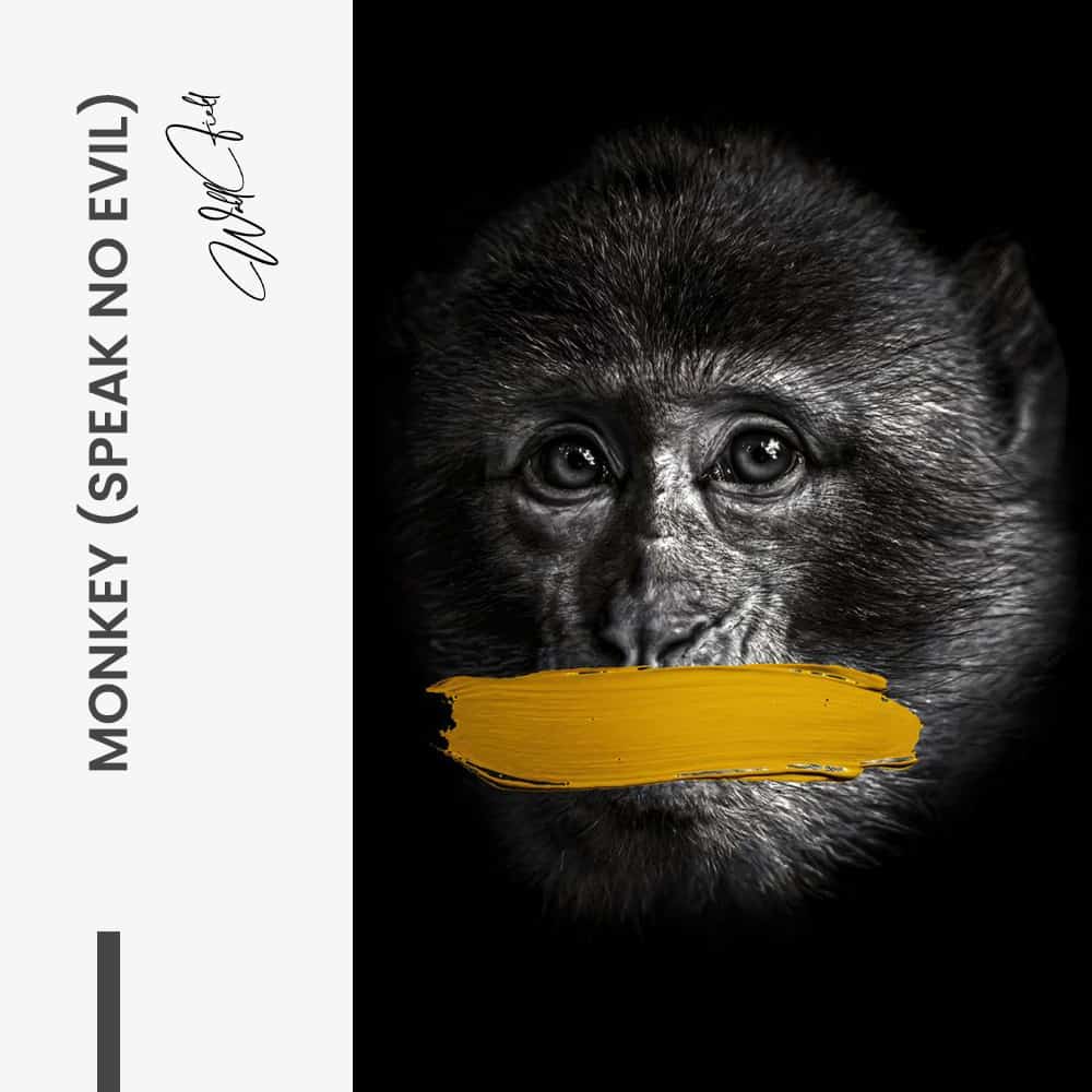 Bundle: “3 Wise Monkeys” (3x) - Glass