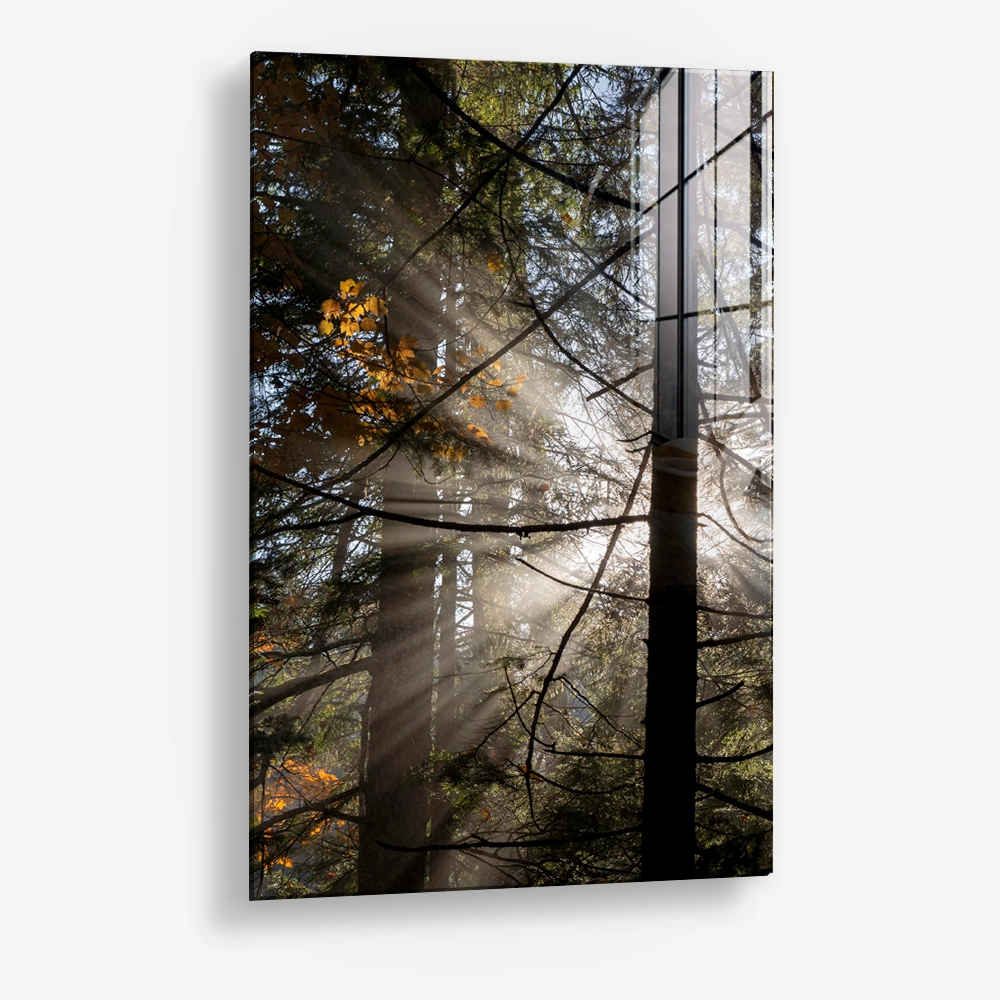 Line of Light – Vetro