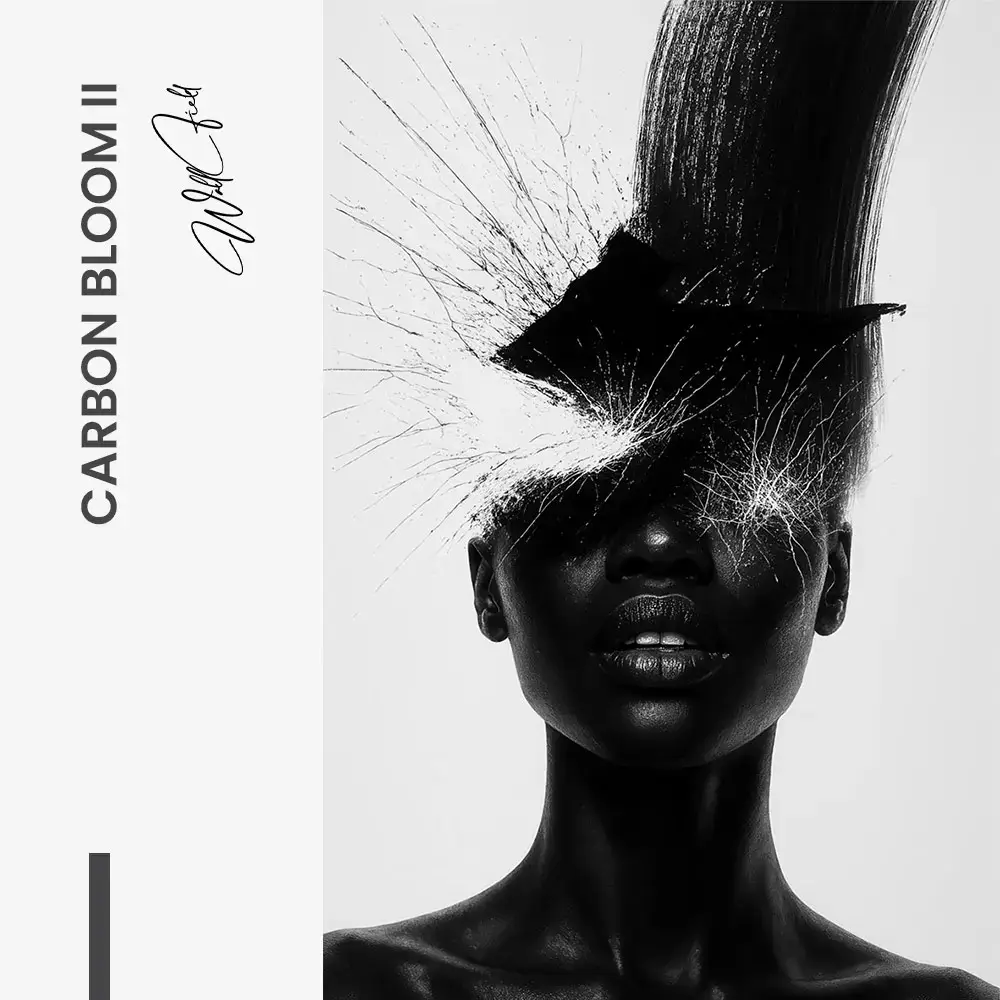 Bundle: "Carbon Bloom" (2x) – Vetro