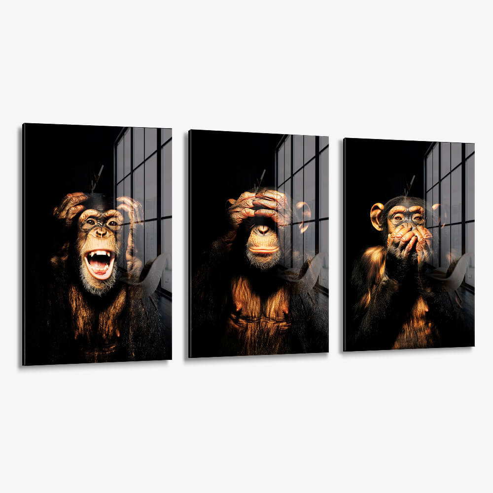 Bundle: "3 Wise Monkeys II" (3x) – Vetro
