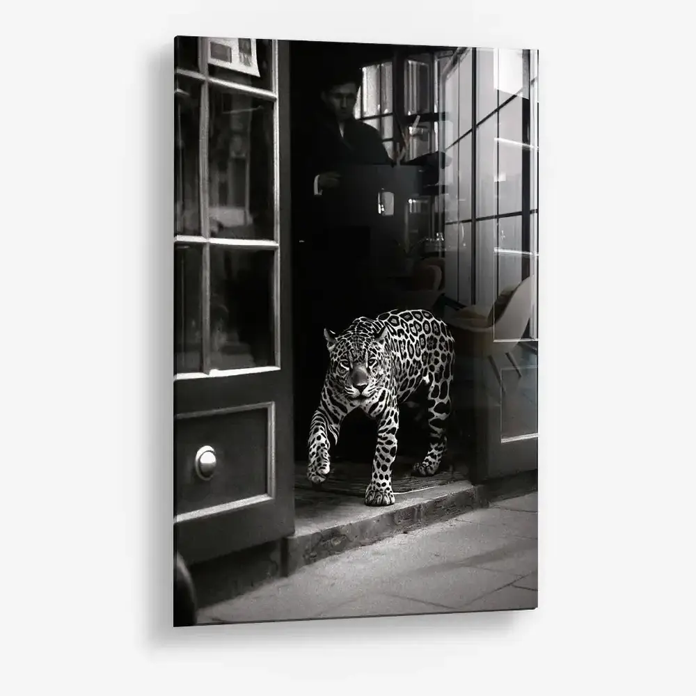 Urban Prowl – Vetro