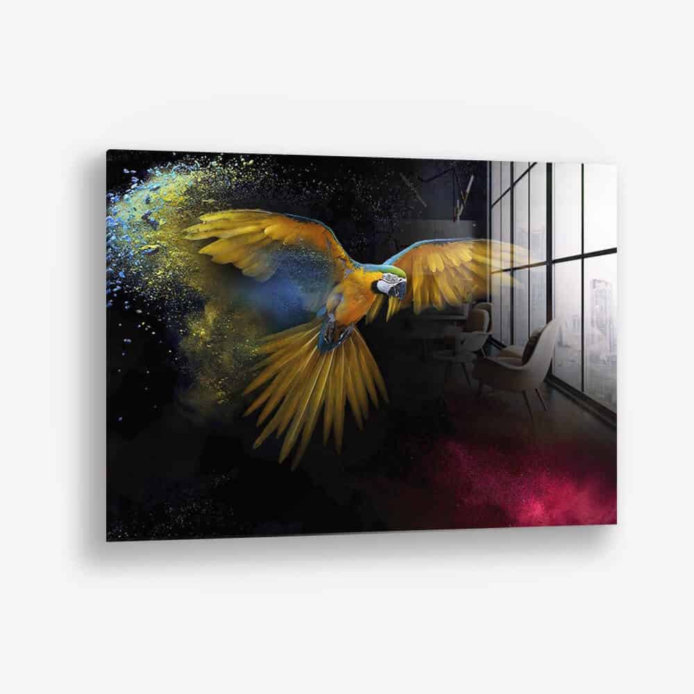 Color Parrot – Vetro