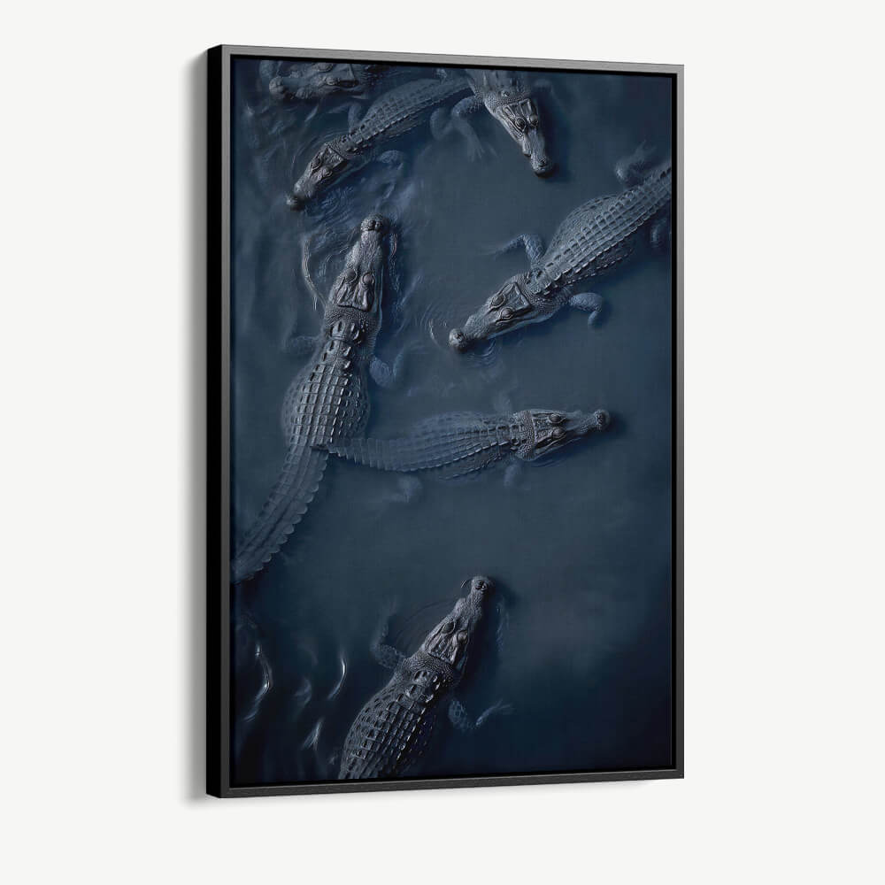 "Crocodiles"