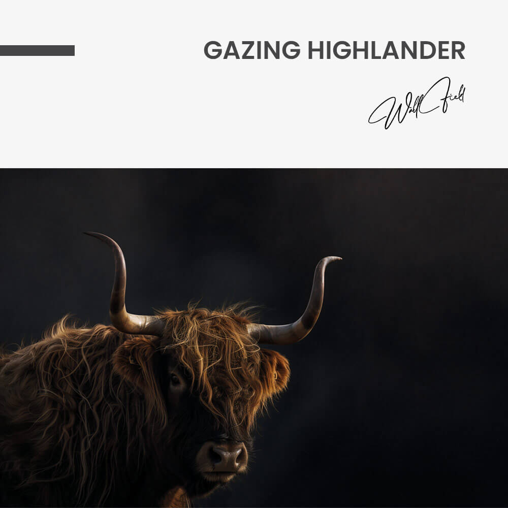Gazing Highlander – Glass