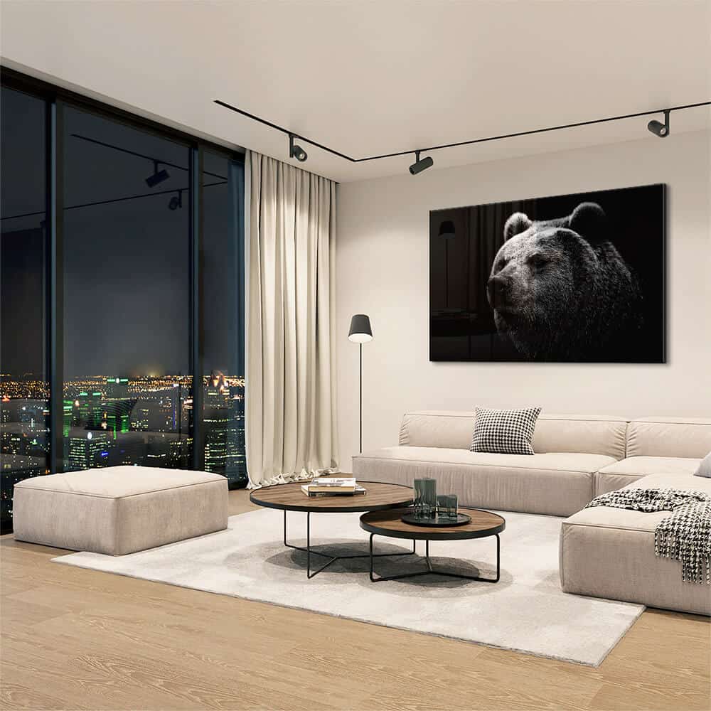 Big Bear – Vetro