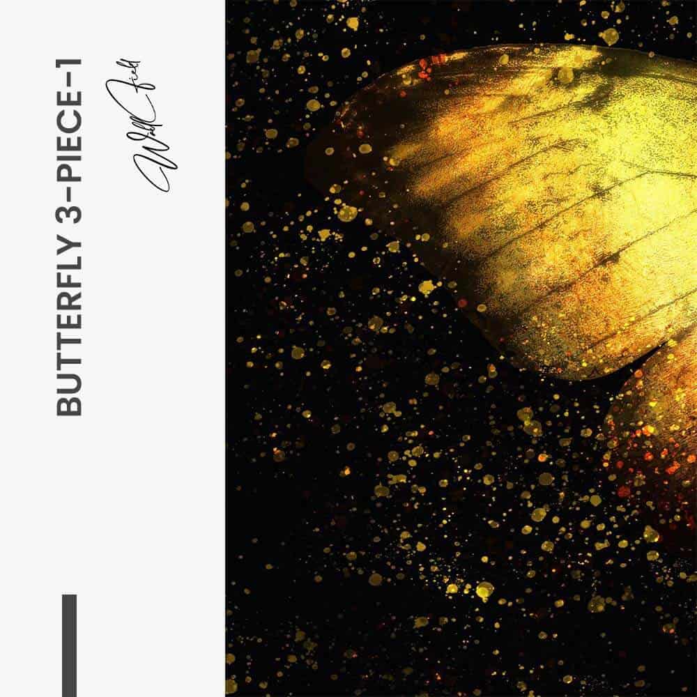 Bundle: "Butterfly 3-Piece" (3x) – Vetro