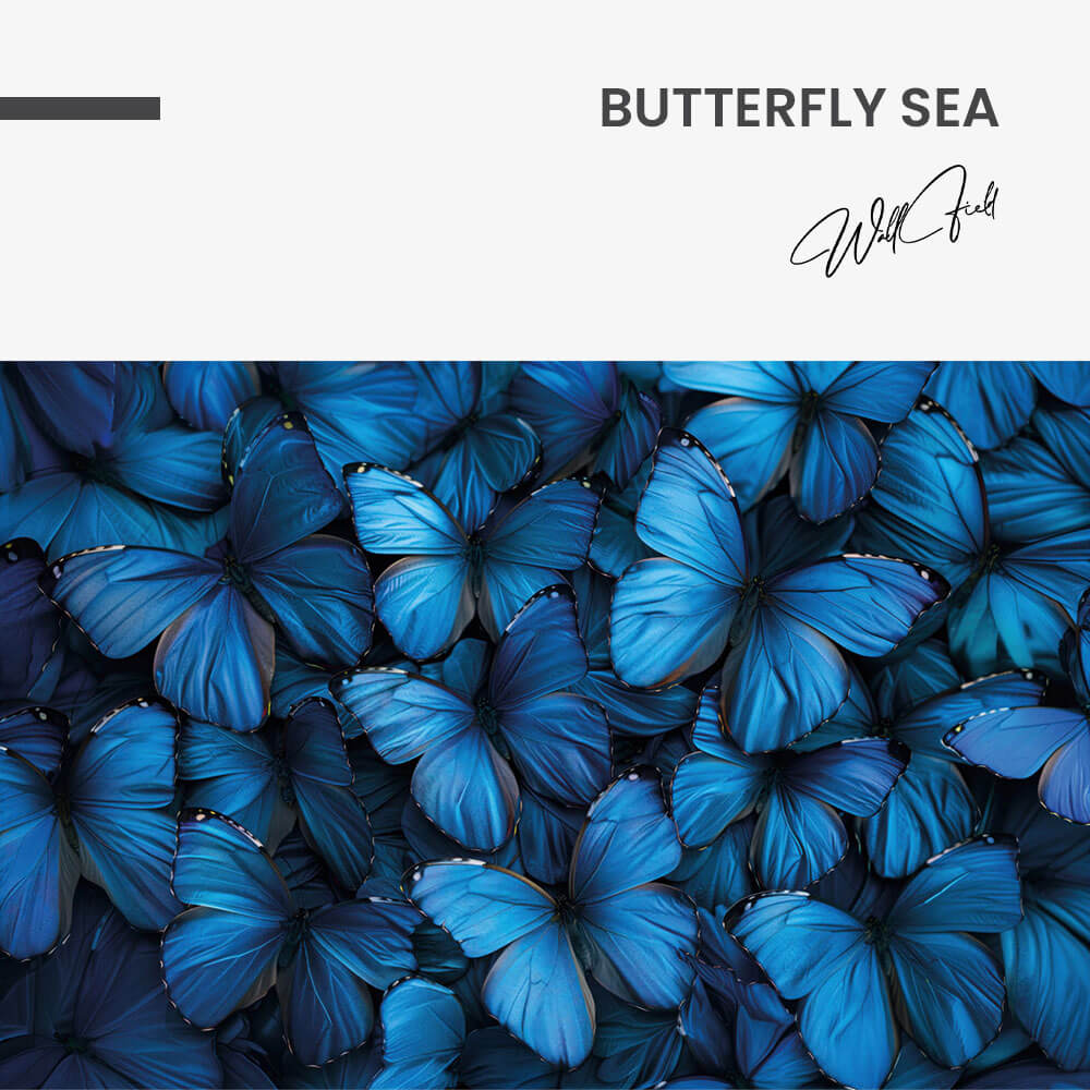 Butterfly Sea – Glass