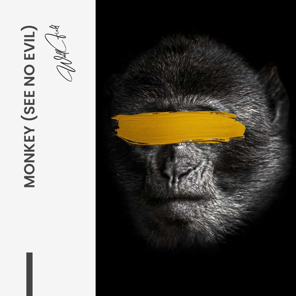 Bundle: “3 Wise Monkeys” (3x) - Glass