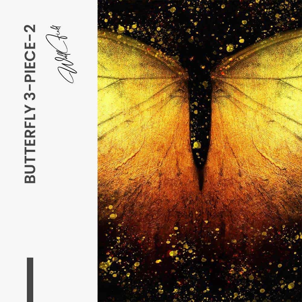 Bundle: "Butterfly 3-Piece" (3x) – Vetro