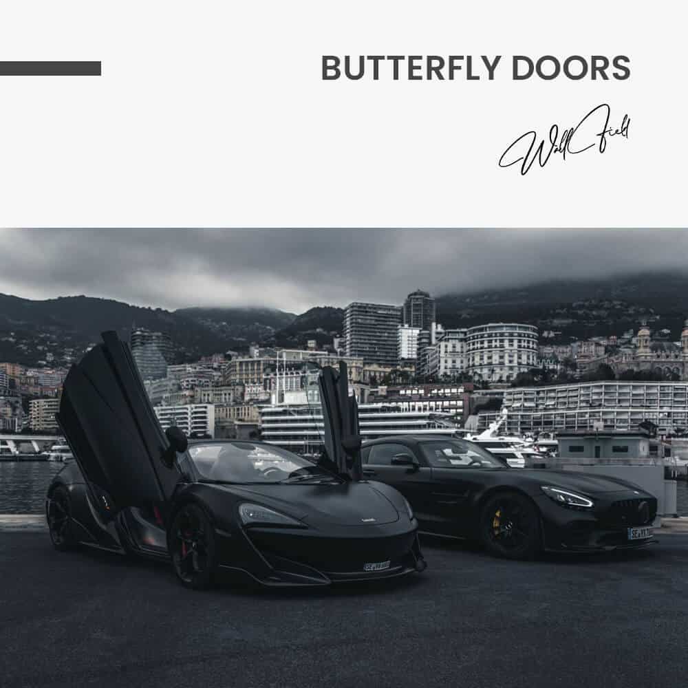 Butterfly Doors - Glass