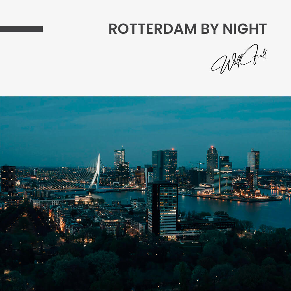 "Rotterdam by Night"