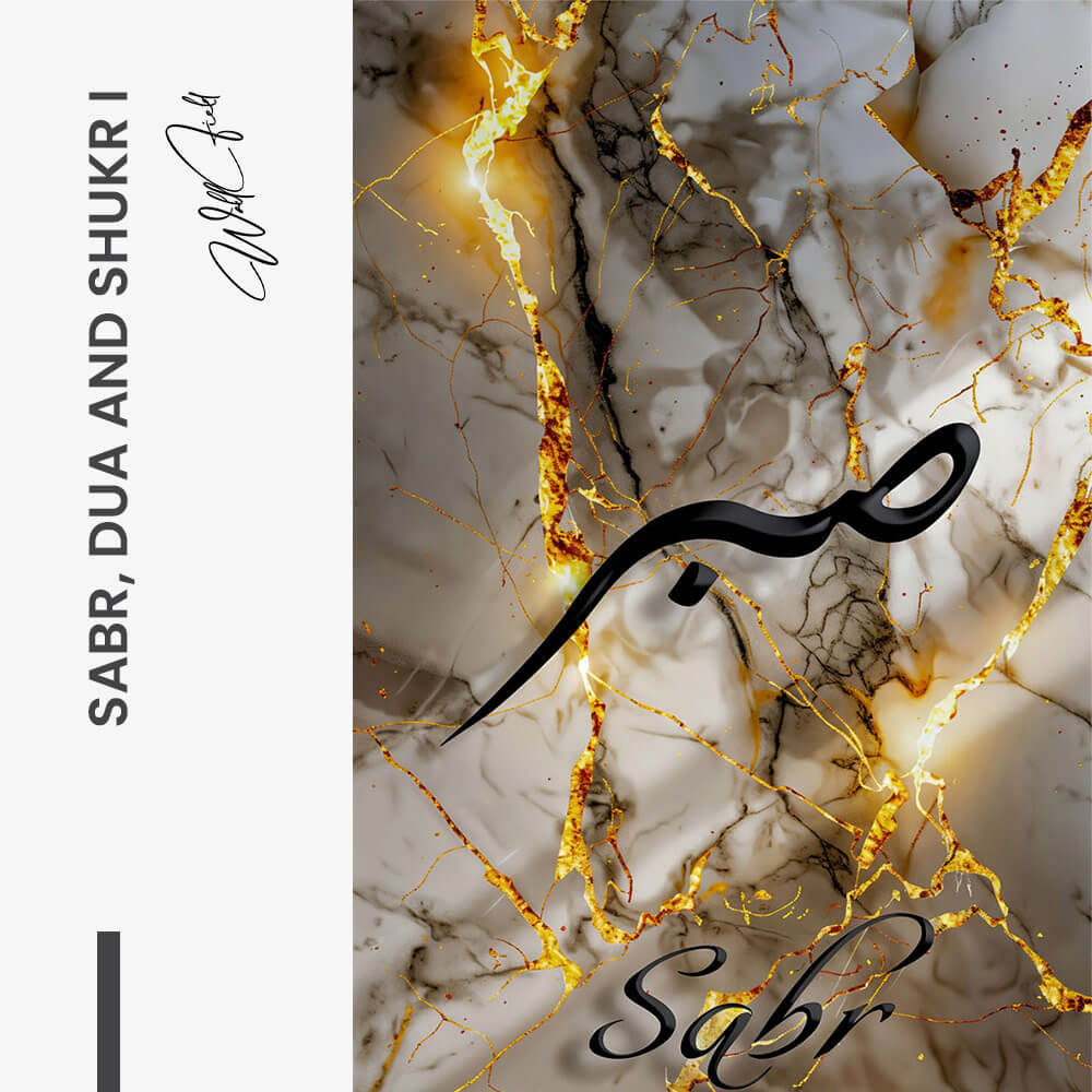 Bundle: "Splash" (3x) – Vetro