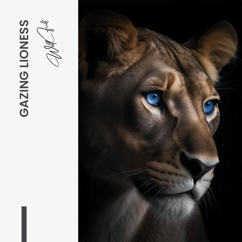 Gazing Lioness – Vetro