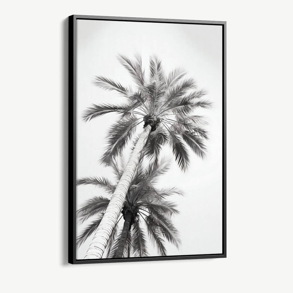 "Under The Palm Trees"