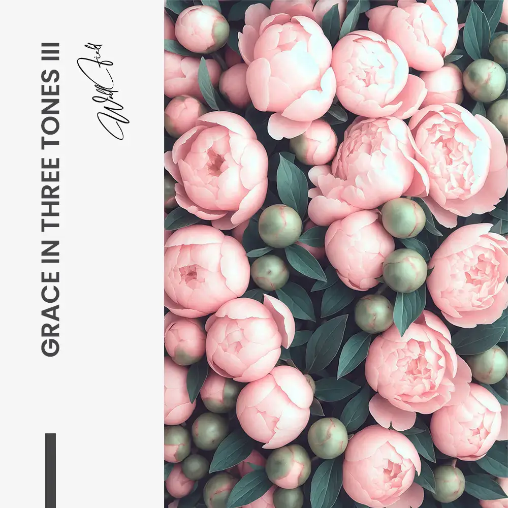 Bundle: "Grace in Three Tones" (3x)