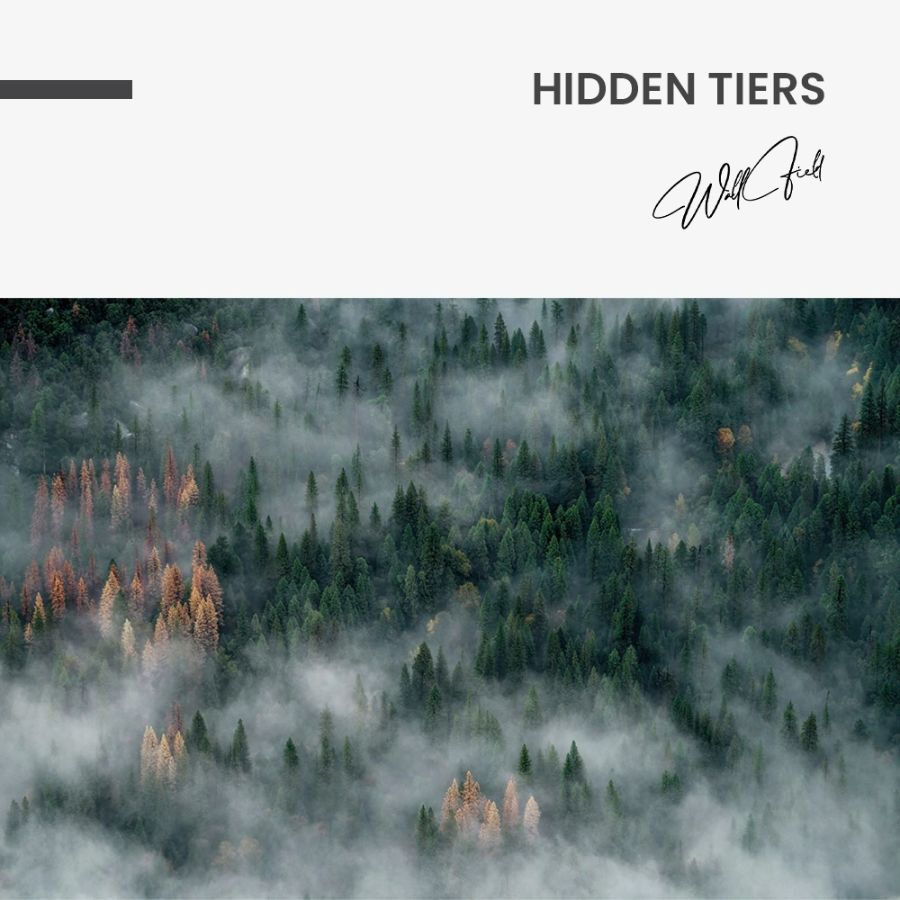 "Hidden Tiers"