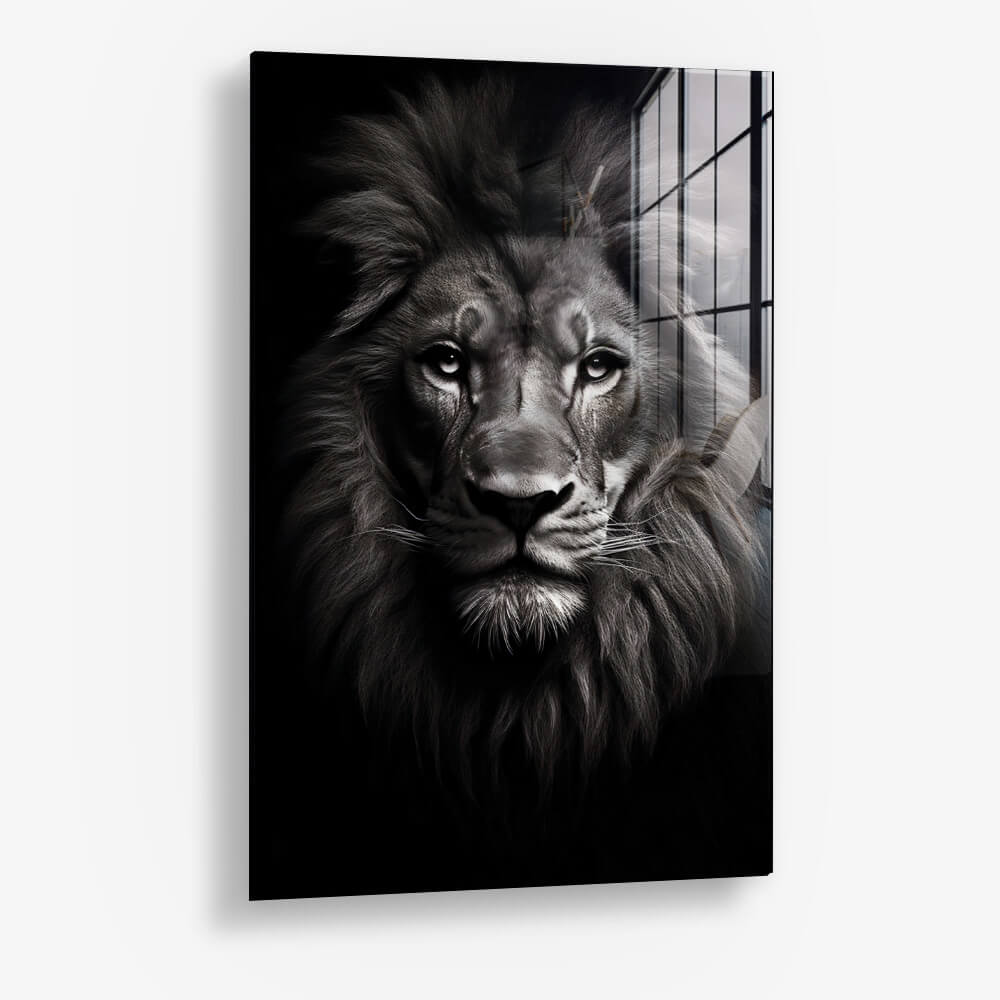 Lion Close-Up - Vetro