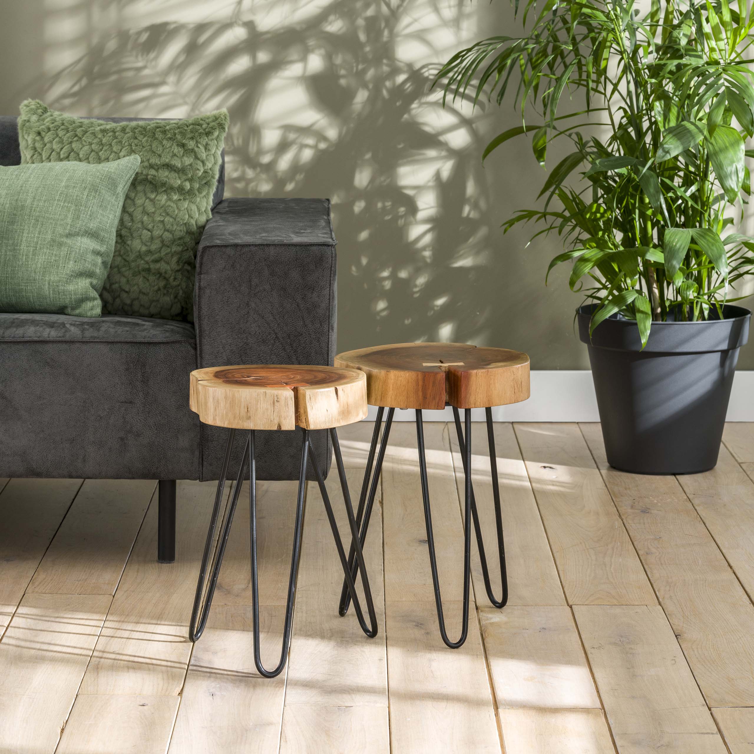 Tronco tavolino in acacia massiccia di spessore 6 cm con struttura in acciaio. VPE2 / Acacia massiccia naturale