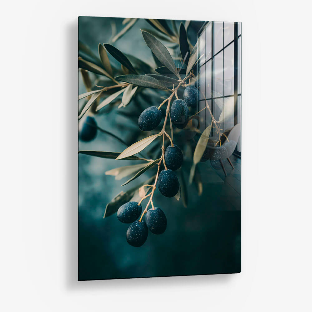 Olive Tree Closeup – Vetro