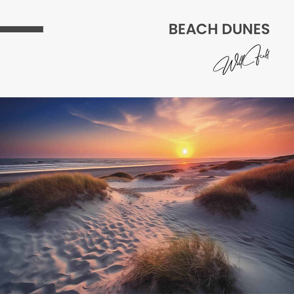 "Beach Dunes"