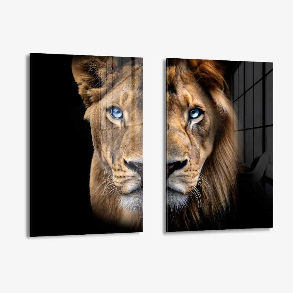 Bundle: "Blue Eyed Lions" (2x) – Vetro