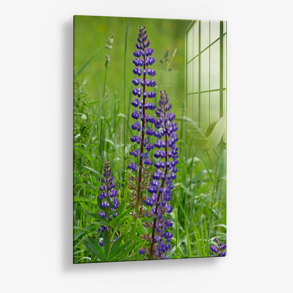 Upright Signal – Glass