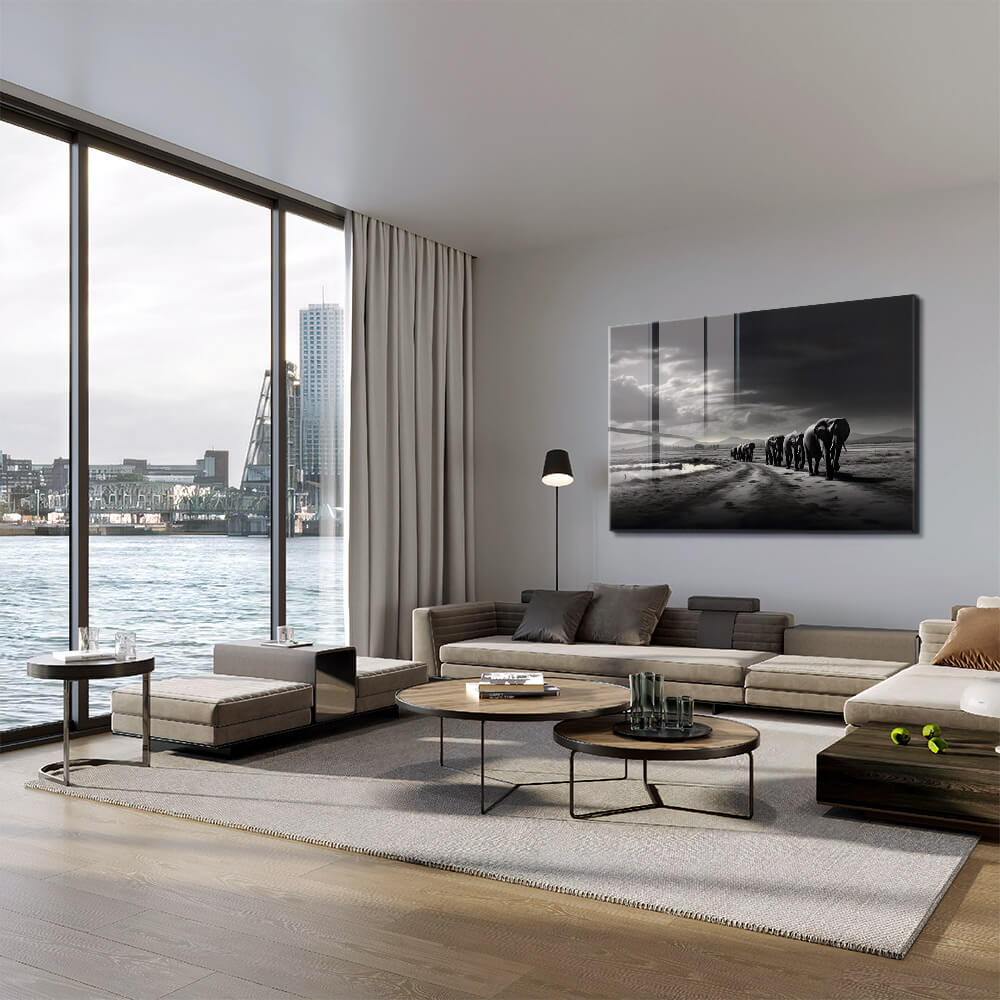 Elephant Family - Vetro