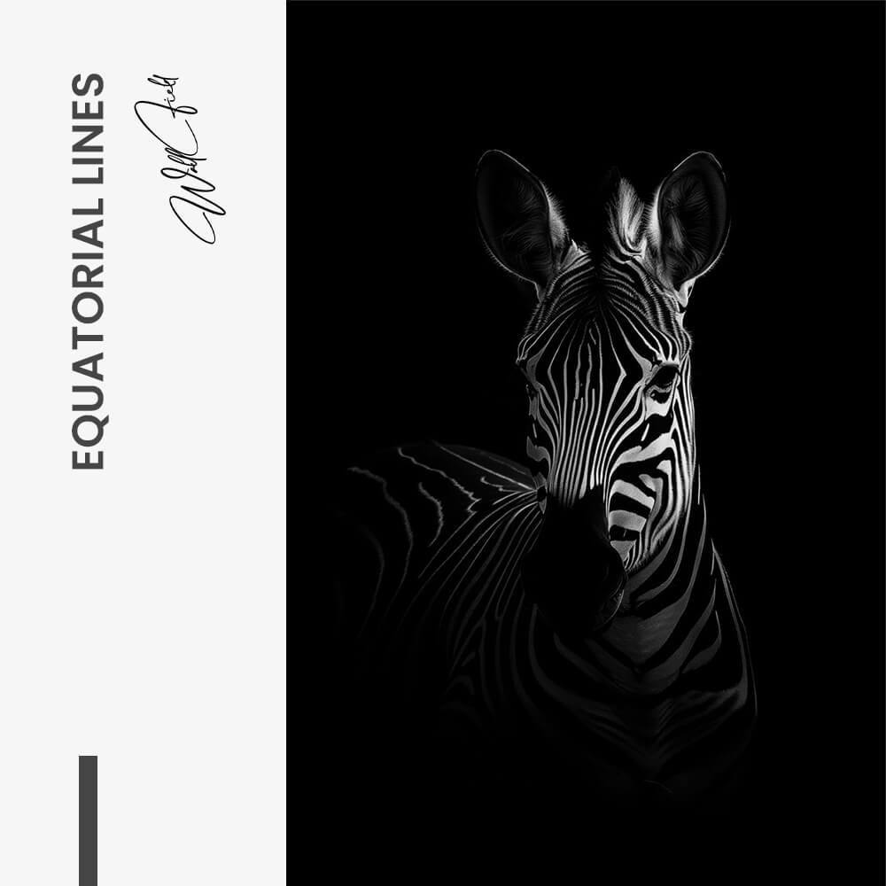 "Equatorial Lines"