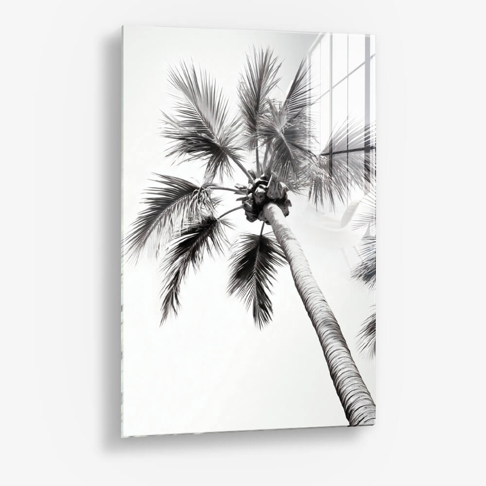 Beachy Palm - Vetro