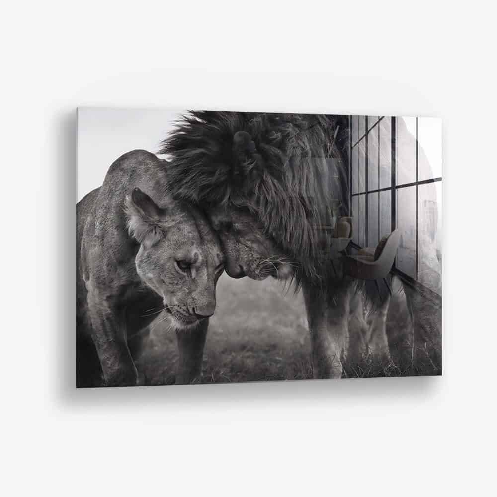 Loving Lion - Vetro