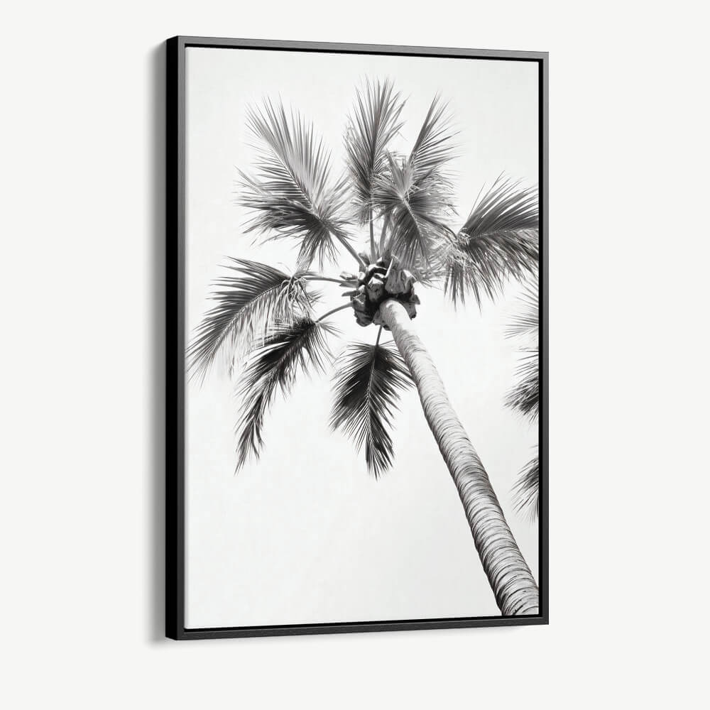 Bundle: "Calligraphy II" (3x)