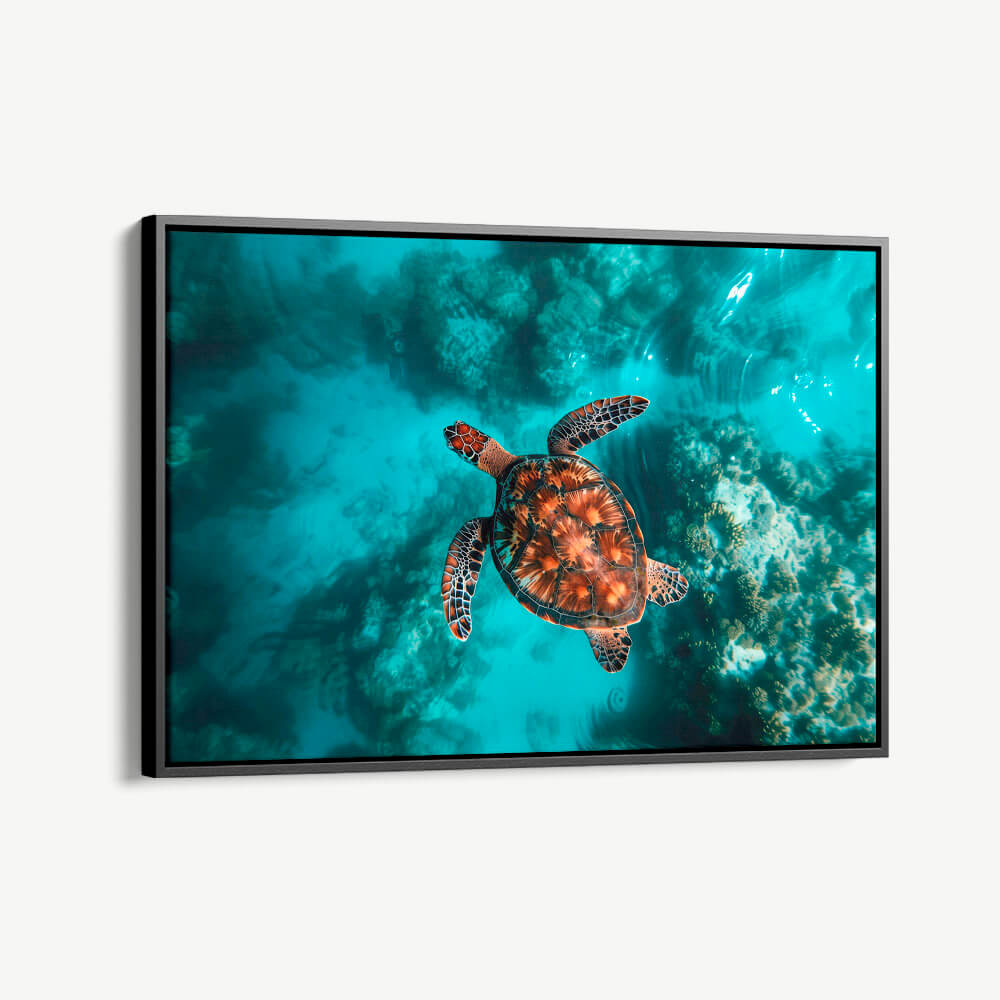 "Sea Turtle HZ"