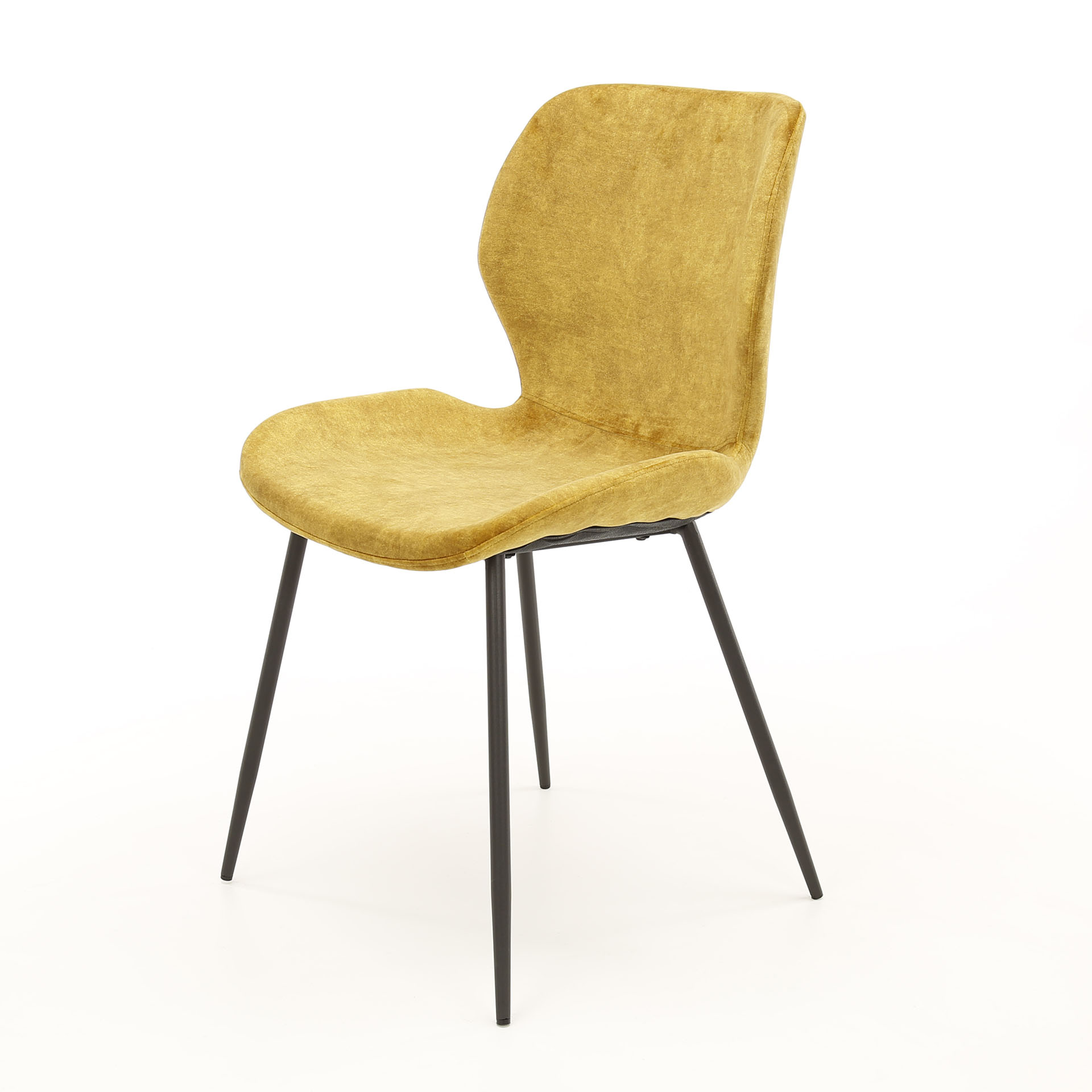 Sedia in tubo tondo. VPE4 / Velluto color oro